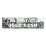 ABH California Gold Rush bumper stickers