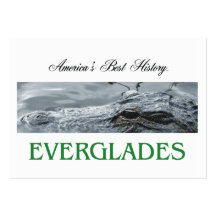 ABH Everglades Business Card Template
