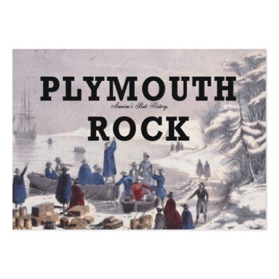 ABH Plymouth Rock Business Card by teepossible