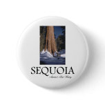 ABH Sequoia Button