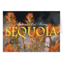 ABH Sequoia Card