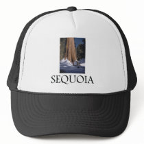 ABH Sequoia Mesh Hats