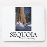 ABH Sequoia Mouse Mats