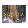 ABH Sequoia Postcards