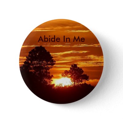 Abide In Me Pin by Ladydove62
