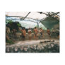 Aboriginal Postcards