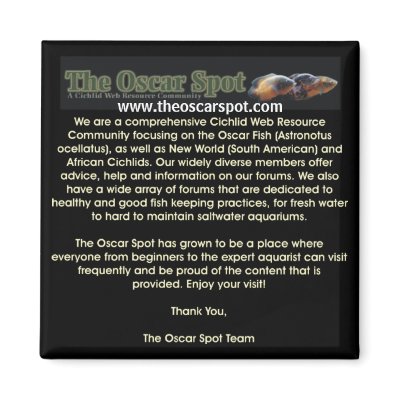 About The Oscar Spot Refrigerator Magnets by oscar_azac