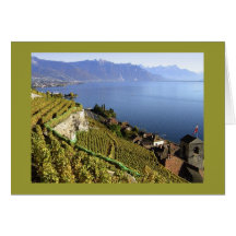 Above St. Saphorin, Lavaux, Switzerland Card