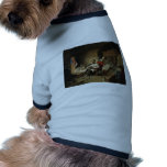 Abraham Lincoln in socks and slipper pet clothing