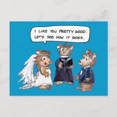 Abrahamster Funny Wedding Vows Postcard by zooogle