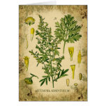 Absinthe Botanical Collage Greeting Card