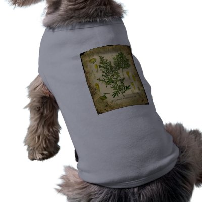 Absinthe Botanical Collage Dog Tee Shirt by opheliasart