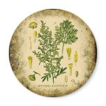 Absinthe Botanical Collage Fridge Magnet