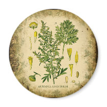 Absinthe Botanical Collage Fridge Magnet