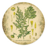 Absinthe Botanical Collage Round Sticker