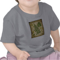 Absinthe Botanical Collage Tee Shirts