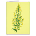 Absinthium Flowers Card