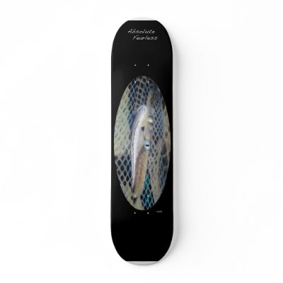 absolute fearlessness skateboard decks by iamiam