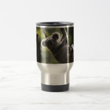 Absolutely Adorable Koala Bear Coffee Mugs