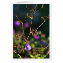 absorbing empathy greeting card
