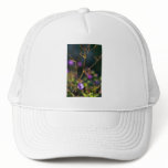 absorbing empathy hats