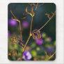 absorbing empathy mouse pads