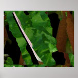 Abstract 39 posters