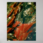 Abstract 5 posters