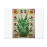 abstract aloe turtles & tulips postcard