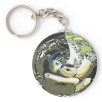 Abstract Apple Keychain