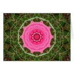 ABSTRACT ART CARDS