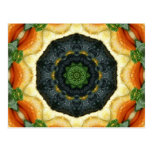ABSTRACT ART postcards
