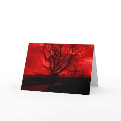 Abstract Bald Tree Cards by made_in_atlantis
