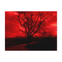Abstract Bald Tree Post Cards