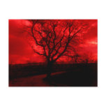 Abstract Bald Tree postcards