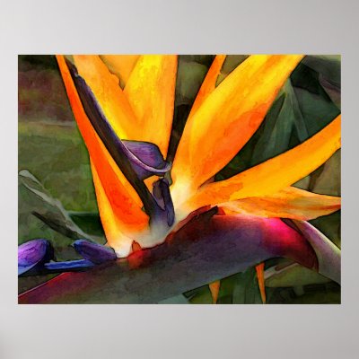 Abstract Bird of Paradise Posters