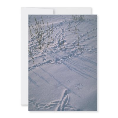 Abstract Bird tracks and feather imprint in the sn Announcements by inspirelove