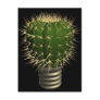 Abstract cactus post cards