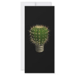 Abstract cactus rack cards