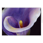 Abstract Calla
