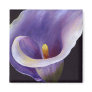 Abstract Calla