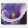 Abstract Calla