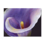Abstract Calla