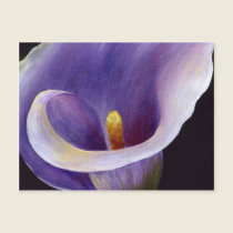 Abstract Calla postcards
