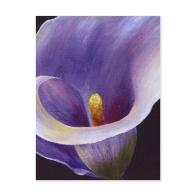 Abstract Calla Postcards by taiche