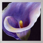 Abstract Calla Print