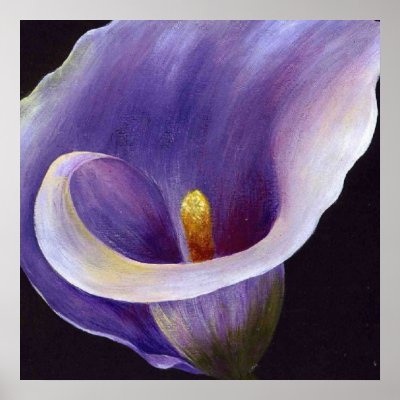 Abstract Calla by taiche