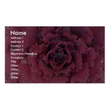 Abstract Detail of ornamental cabbage Business Card