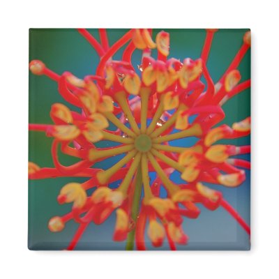 Abstract Flower Magnet by pulsDesign