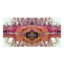 Abstract Forest Creek Reflection Photo Card Template
